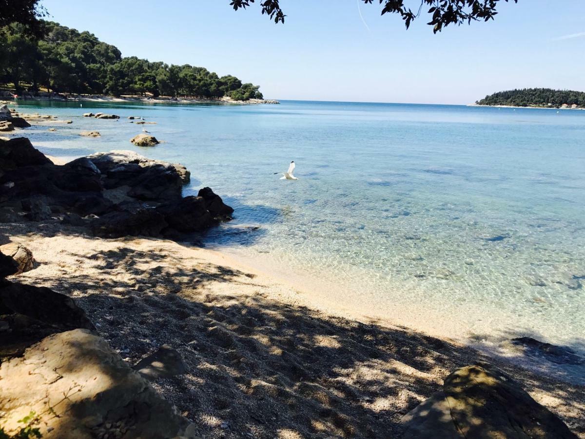 Apartmani Beril Lux Rovinj Dış mekan fotoğraf